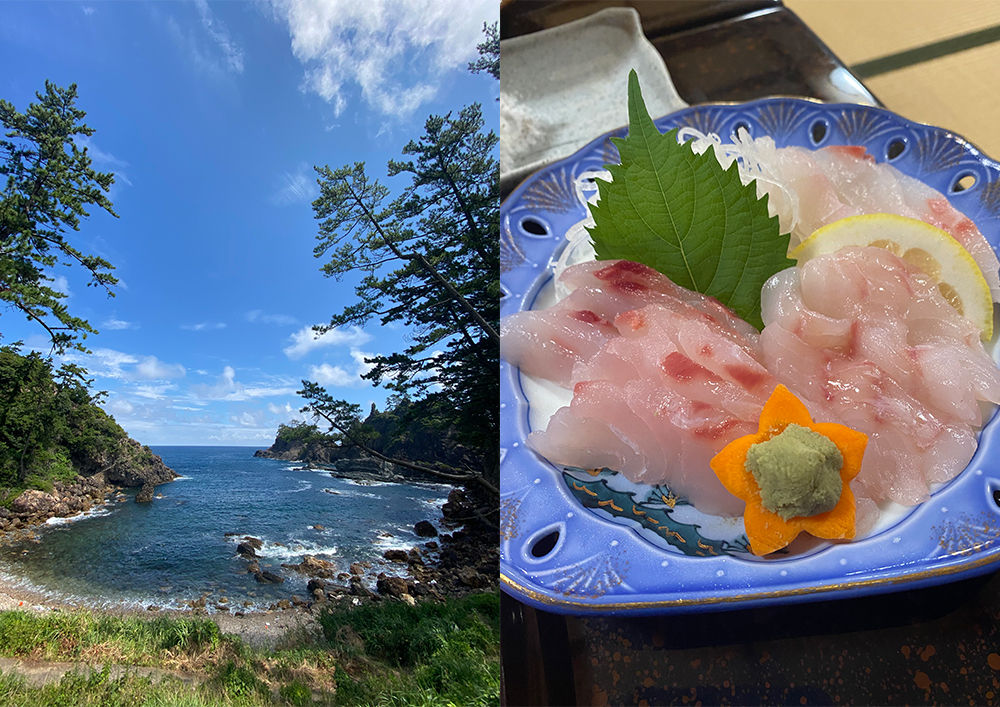 実際の病院で働く前に見学で感じたこと～島根県隠岐島前病院～